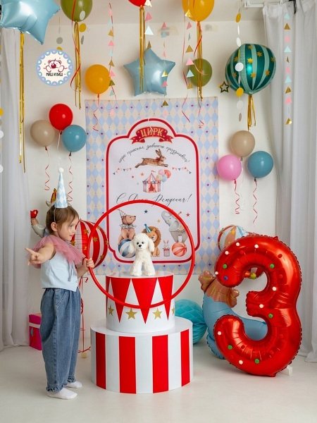 Цирк 3 года